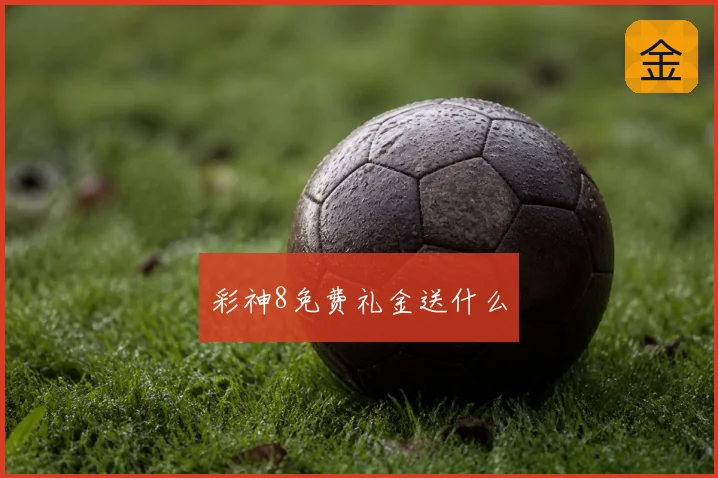 彩神8免费礼金送什么
